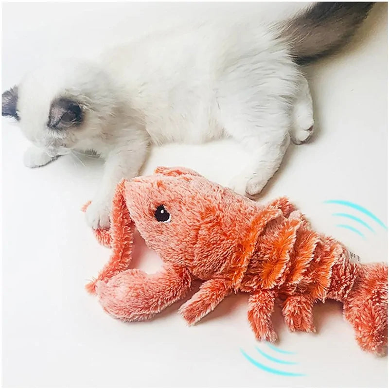 Interactive Pet Toy, Teaching Toy, Fun Toy