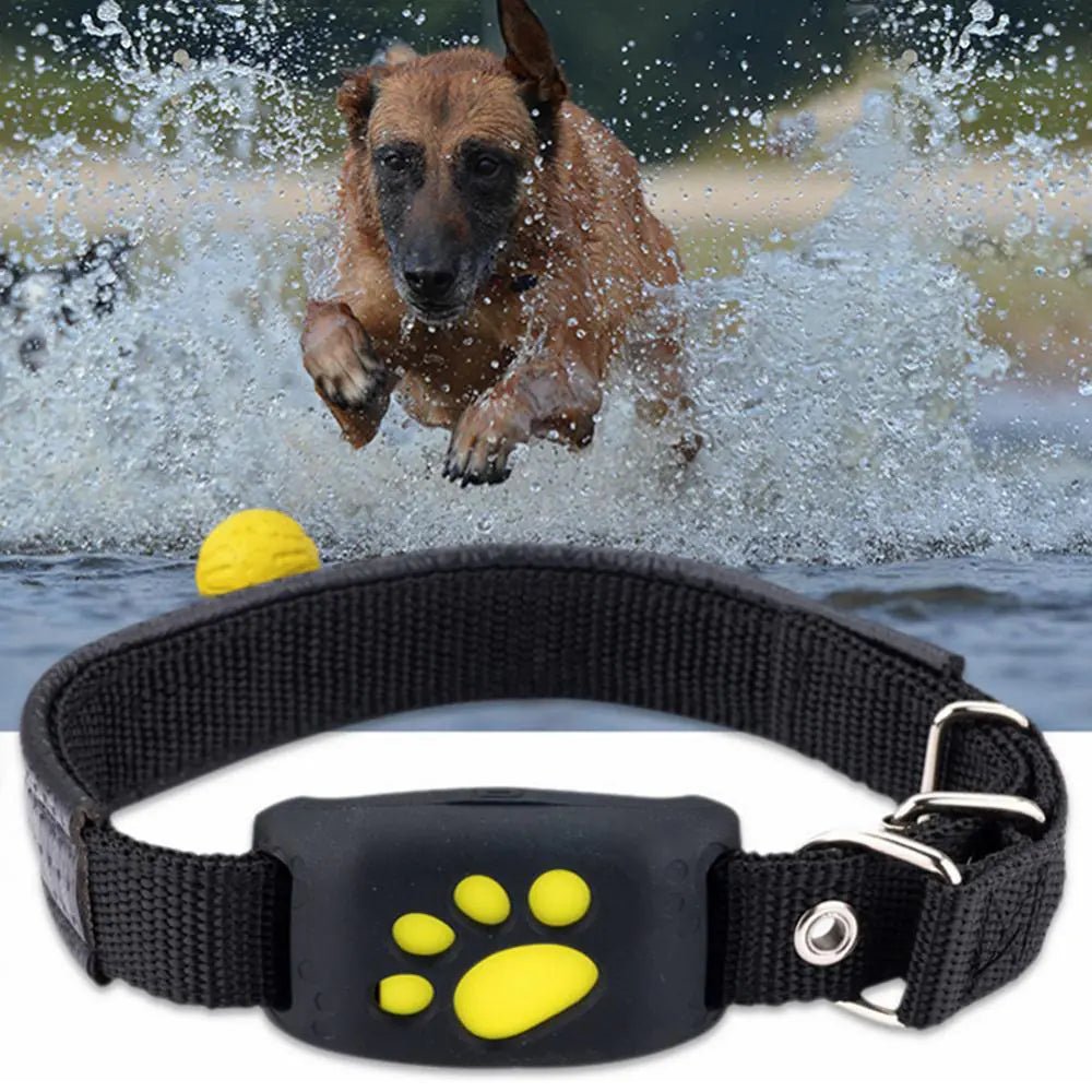 Pet GPS Tracker Collar - Epic Trends and Gifts-Pet Supplies-Pet GPS Tracker Collar