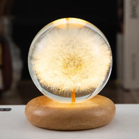 Thumbnail for LED Night Light, Flower Crystal Ball, Children Night Lamp With Wooden Base - Epic Trends and Gifts-LED Night Light Flower Crystal Ball Chil-LED Night Light, Flower Crystal Ball, Children Night Lamp With Wooden Base