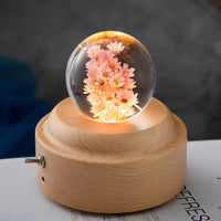 Thumbnail for LED Night Light, Flower Crystal Ball, Children Night Lamp With Wooden Base - Epic Trends and Gifts-LED Night Light Flower Crystal Ball Chil-LED Night Light, Flower Crystal Ball, Children Night Lamp With Wooden Base